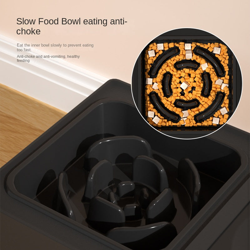 Adjustable Elevated Double Dog Bowls With Stainless Steel Stand